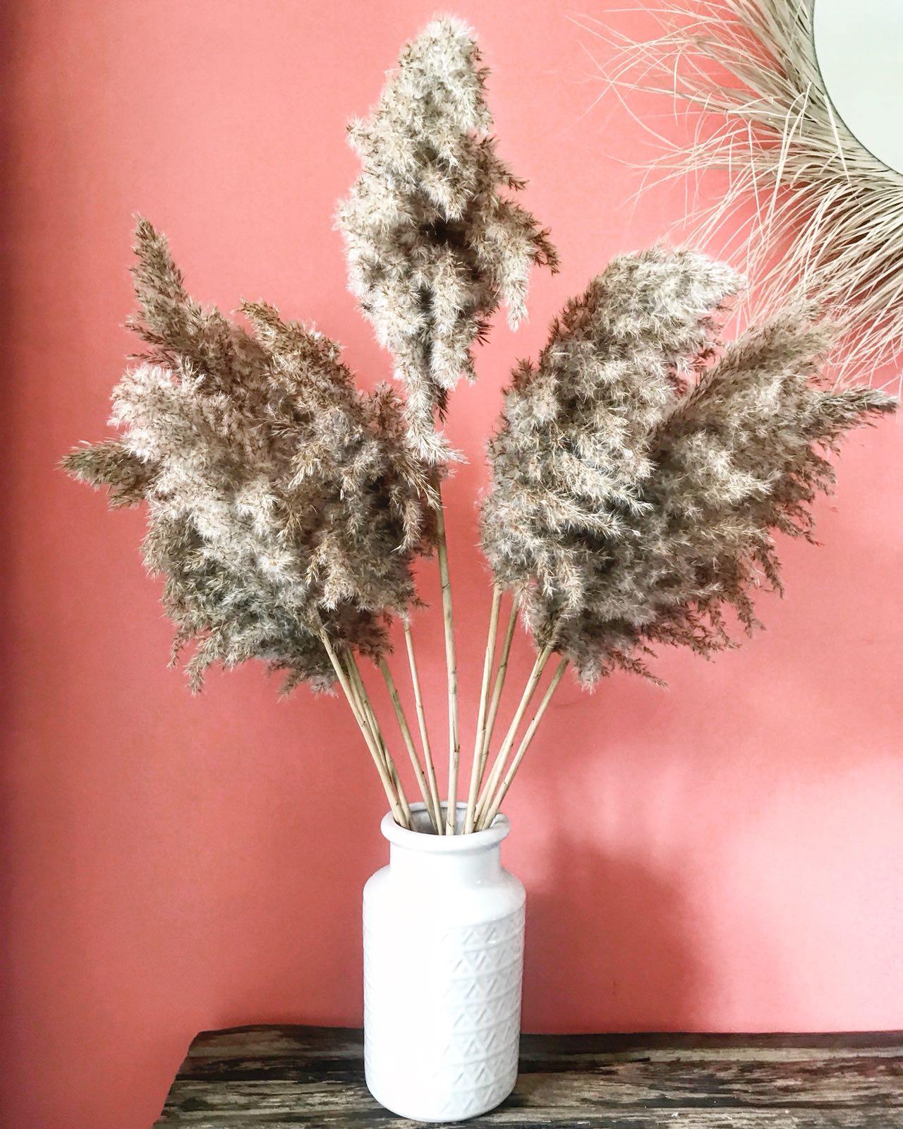 Des fleurs de pampa