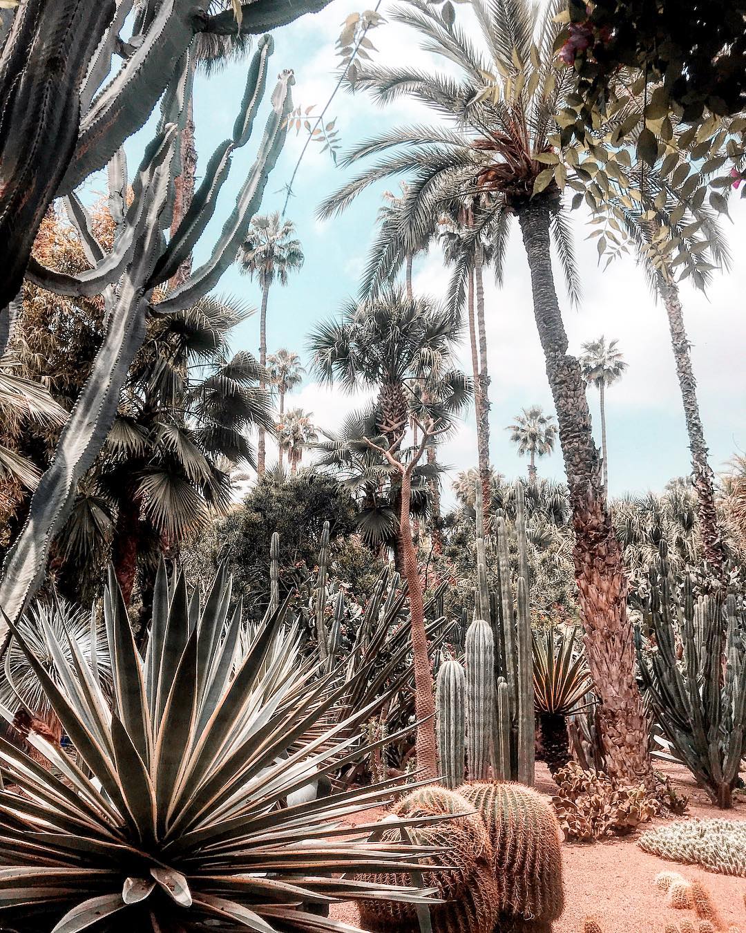 rachelstyliste jardin majorelle