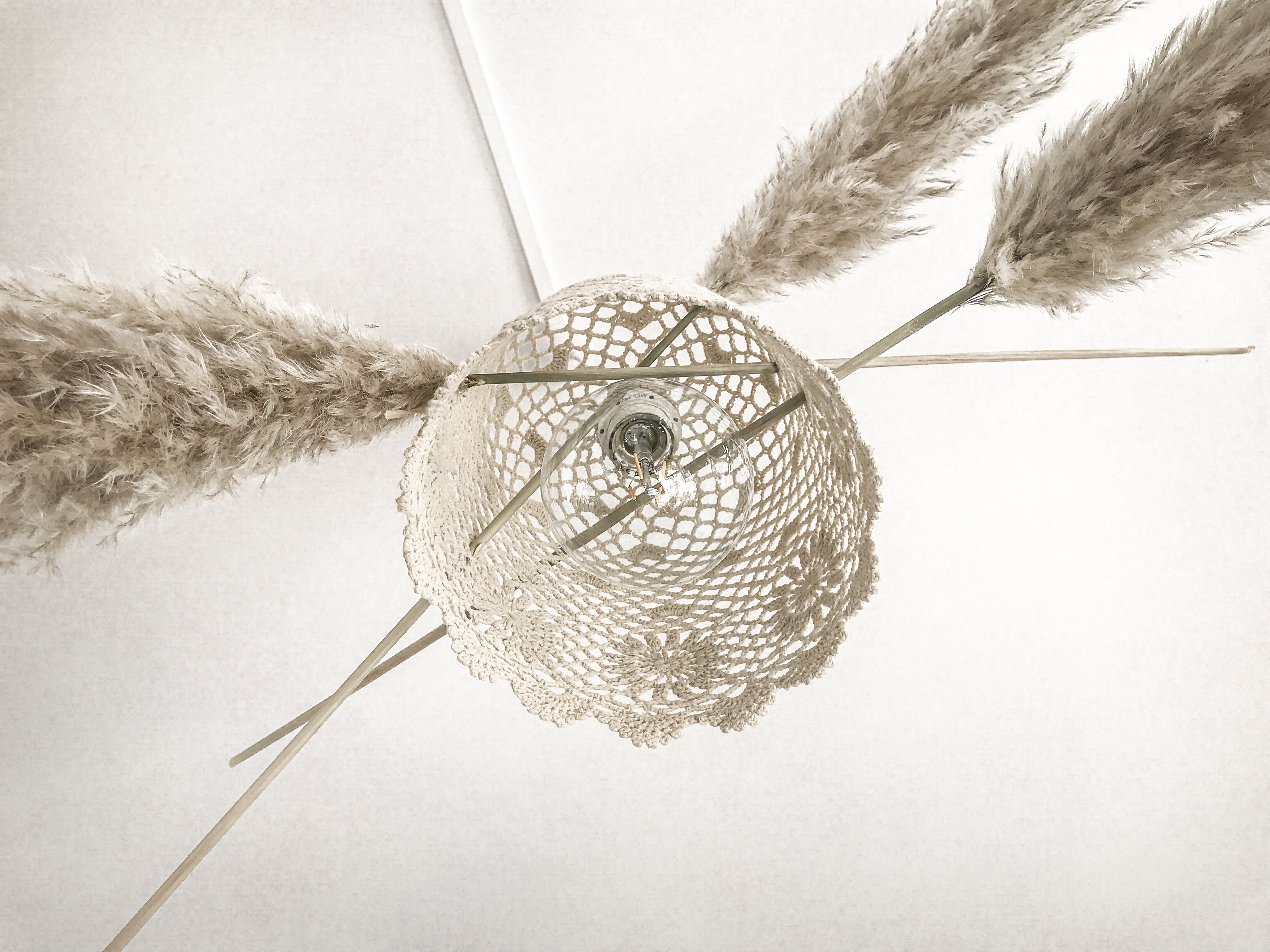 diy herbe de la pampa diy herbe de la pampa